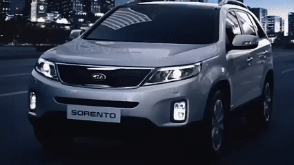 Thuê Xe Carnival SGCar