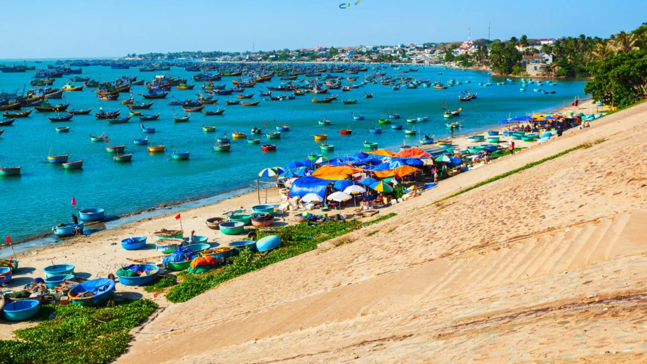 Dịch vụ thuê xe Carnival đi Mũi Né có tài xế từ TP.HCM chuyên nghiệp